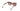 Lentes de Sol Guess GU7869 02GU786952F53 Casa Lentes Chile
