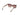 Lentes de Sol Guess GU7869 02GU786952F53 Casa Lentes Chile