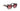 Lentes de Sol Guess GU7892 02GU789201T55 Casa Lentes Chile