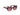 Lentes de Sol Guess GU7892 02GU789201T55 Casa Lentes Chile