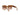 Lentes de Sol MICHAEL KORS KARLIE 0MK2170U39153B54 Casa Lentes Chile