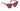 Lentes de Sol TOM FORD FT0740 75Y 02FT074075Y56 Casa Lentes Chile